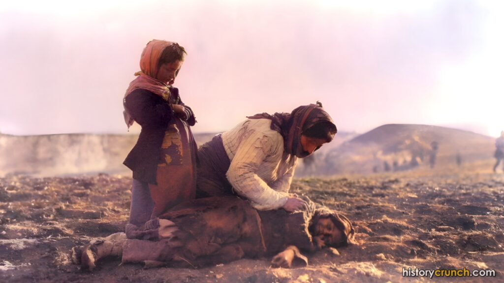 Armenian Genocide Summary