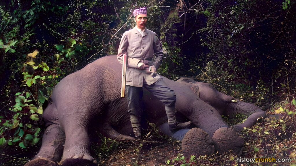 Franz Ferdinand Young