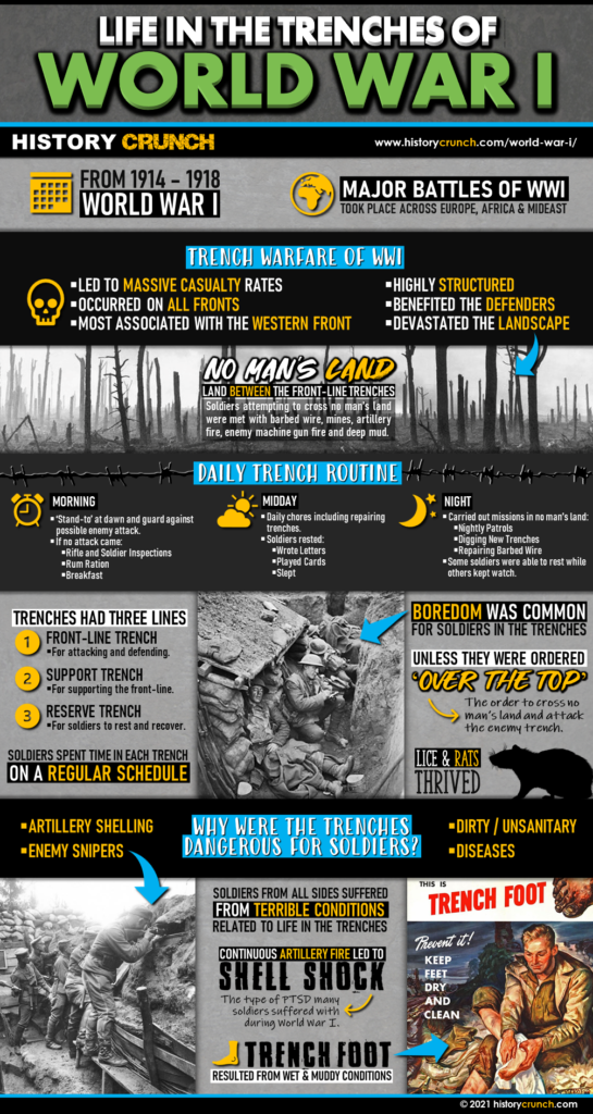Life in the Trenches WW1 Infographic