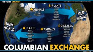 Columbian Exchange Map