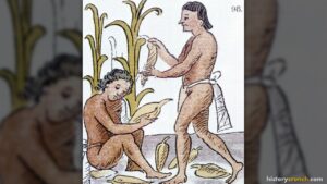 Aztec Food and Farming