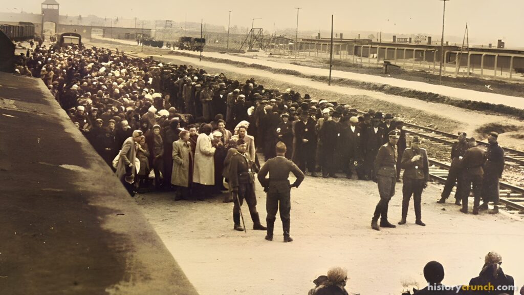 Causes of the Holocaust