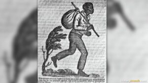 Fugitive Slave Act of 1793