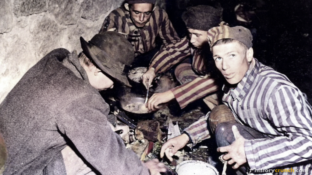 Life in the Concentration Camps