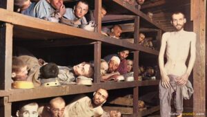 Life in the Concentration Camps