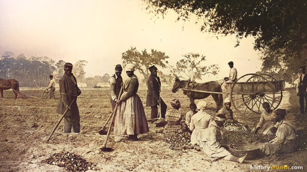 Slave Plantations