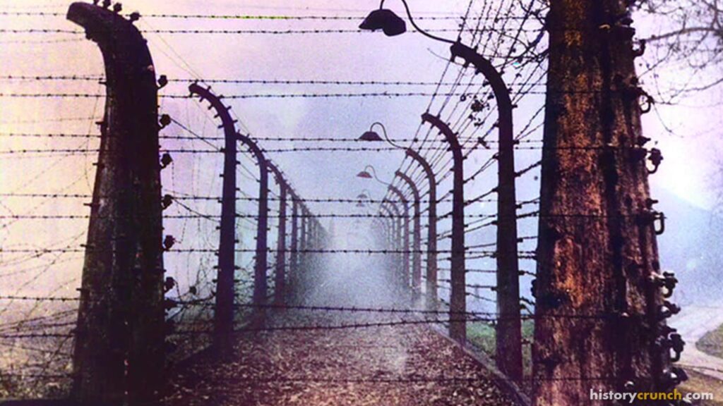 Types of Camps in the Holocaust